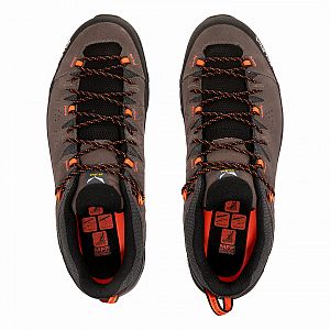 Salewa Alp Trainer 2 M bungee cord/black3