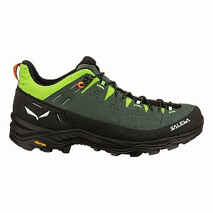 Salewa Alp Trainer 2 M raw green/black1