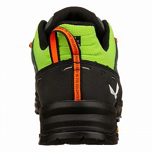 Salewa Alp Trainer 2 M raw green/black2