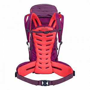 Salewa Alptrek 38 BP WS dark purple