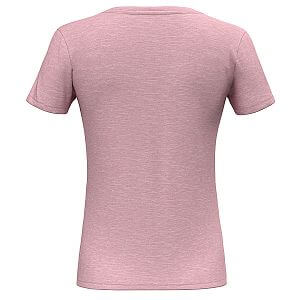 Salewa Eagle Minilogo AM T-Shirt W zephyr zadní pohled