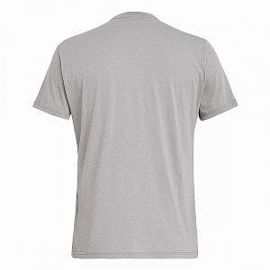 SALEWA-Illustraion-Dry-M-SS-Tee-hearher-grey_1