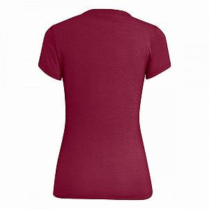 Salewa Lines Graphic Dry T-Shirt W rhodo red melange1