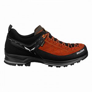 Salewa MS MTN Trainer 2 GTX autumnal black1