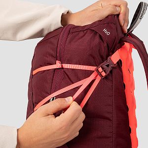 Salewa MTN Trainer 2 22L W tawny port kompresní popruhy