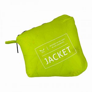 Salewa Ortles Light 2 RDS DWN HD JKT M classic green7