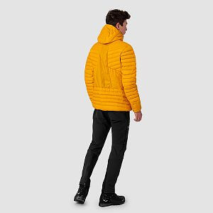 Salewa Ortles RDS Down Hybrid Jacket Men gold detail zadní strana na postavě