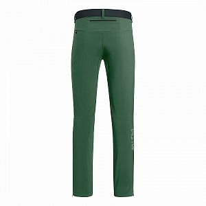 Salewa Pedroc 3 DST M Regular Pant raw green1