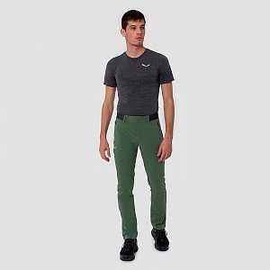 Salewa Pedroc 3 DST M Regular Pant raw green2