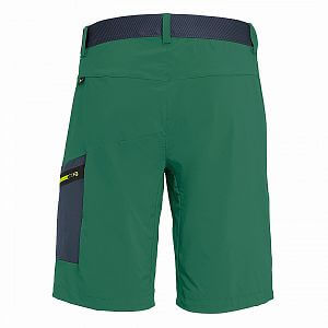 Salewa Pedroc Cargo 2 Durastretch M Shorts myrtle