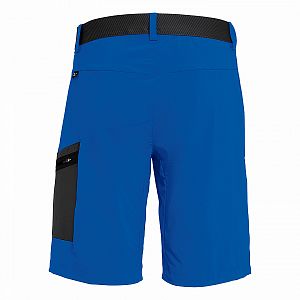 Salewa Pedroc Cargo 3 DST M Shorts electric zadní pohled