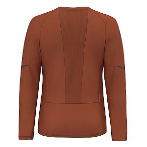 Salewa Pedroc Dry L/S Tee M bombay brown