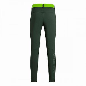 salewa-PEDROC-SW_DST-M-PANT-deep-forest1