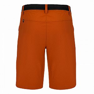 Salewa Puez 3 DST M Shorts autumnal1