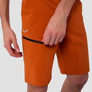 Salewa Puez 3 DST M Shorts autumnal6