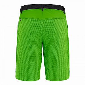 Salewa Puez 3 DST M Shorts pale frog1