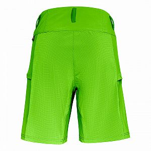 Salewa Puez 3 DST W Shorts pale frog1