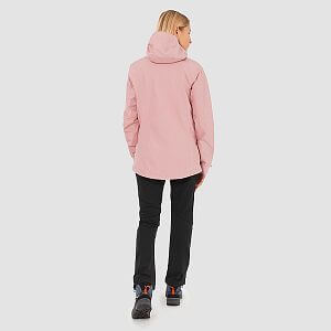 Salewa Puez Gore-Tex Paclite® Jacket W zephyr zadní pohled na postavě