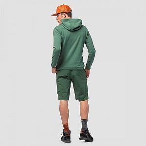 Salewa Puez Hemp Logo Hoody M raw green2