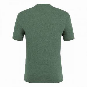 Salewa Pure Box Dry T-Shirt M raw green melange2