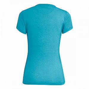 Salewa Pure Mountain Dry S/S Tee W blue danube melange1