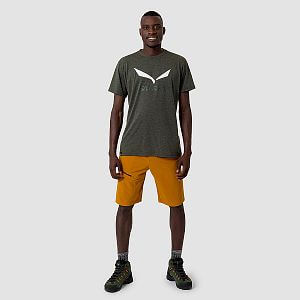 Salewa Solidlogo Dry T-Shirt M dark olive melange přední pohled na postavě