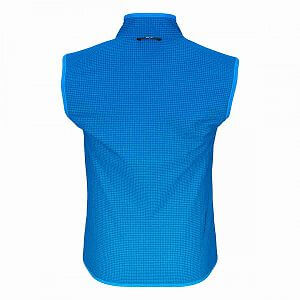 Salewa Sorapis DST Vest M cloisonne blue1