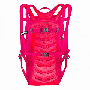 Salewa Ultra Train 14 BP virtual pink
