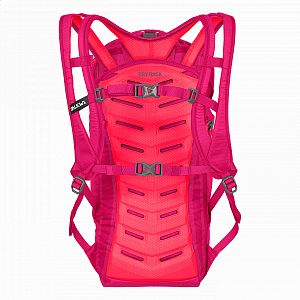 Salewa Ultra Train 22 BP virtual pink
