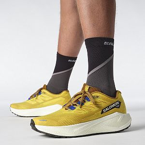 Salomon Aero Blaze 3 GRVL M spicy mustard / vanilla ice / nautical blue pánské běžecké gravel boty