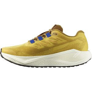 Salomon Aero Blaze 3 GRVL M spicy mustard / vanilla ice / nautical blue pánské běžecké gravel boty