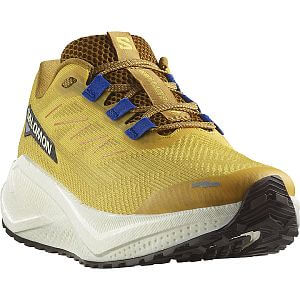 Salomon Aero Blaze 3 GRVL M spicy mustard / vanilla ice / nautical blue pánské běžecké gravel boty
