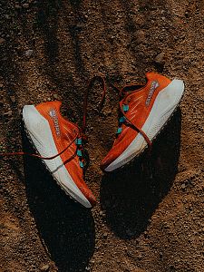 Salomon Aero Blaze 3 GRVL W Burnt Ochre / Vanilla Ice / Etherea image photo