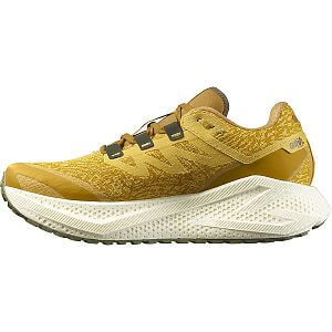 Salomon Aero Glide 3 GRVL M spicy mustard / vanilla ice / deep lichen green pánské běžecké gravel boty boční pohled