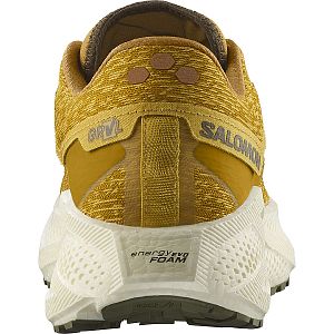 Salomon Aero Glide 3 GRVL M spicy mustard / vanilla ice / deep lichen green pánské běžecké gravel boty pata