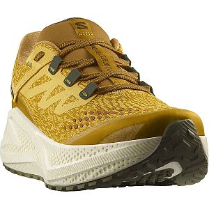 Salomon Aero Glide 3 GRVL M spicy mustard / vanilla ice / deep lichen green pánské běžecké gravel boty špička