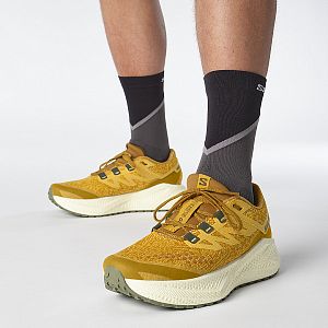 Salomon Aero Glide 3 GRVL M spicy mustard / vanilla ice / deep lichen green pánské běžecké gravel boty