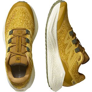 Salomon Aero Glide 3 GRVL M spicy mustard / vanilla ice / deep lichen green pánské běžecké grvl boty