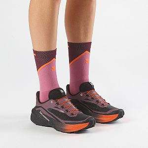 Salomon Genesis 2 W huckleberry / black