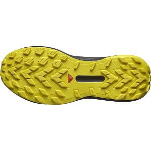 Salomon Genesis M black / metal / incaberry