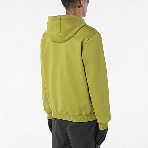 Salomon Hoodie M cardamon seed