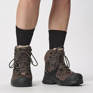 Salomon ponožky Evasion Crew 2-Pack black/black