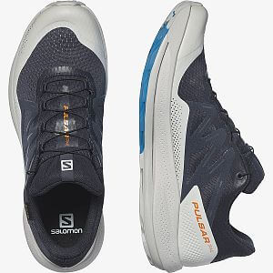 Salomon Pulsar Trail GTX night sky / lunar rock / indigo bunting boční a horní pohled