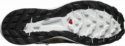 Salomon-Sense-Ride-3-LTD-Edition-black_white3