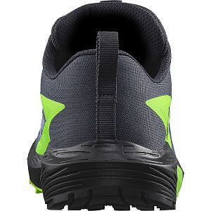 Salomon Sense Ride 5 M GTX flint stone / black / green gecko detail pata