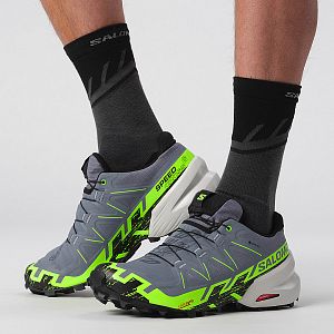 Salomon Speedcross 6 GTX / flint stone / green gecko / black