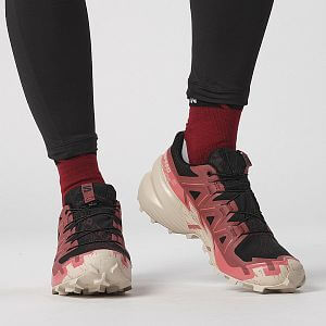 Salomon Speedcross 6 GTX W black / cow hide / faded rose dámské běžecké trailové boty