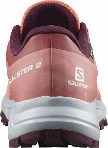 Salomon Trailster 2 GTX W persimon/pearl blue/wine tasting4