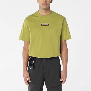 Salomon Venom RLX SS Tee M cardamon seed