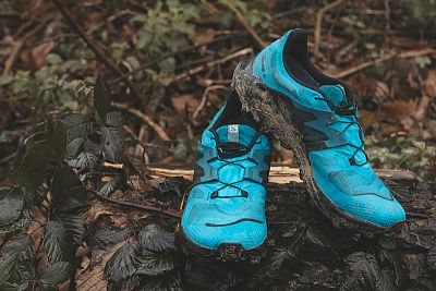 Salomon Wildcross 2 GTX barrier reef / black / mallard blue1